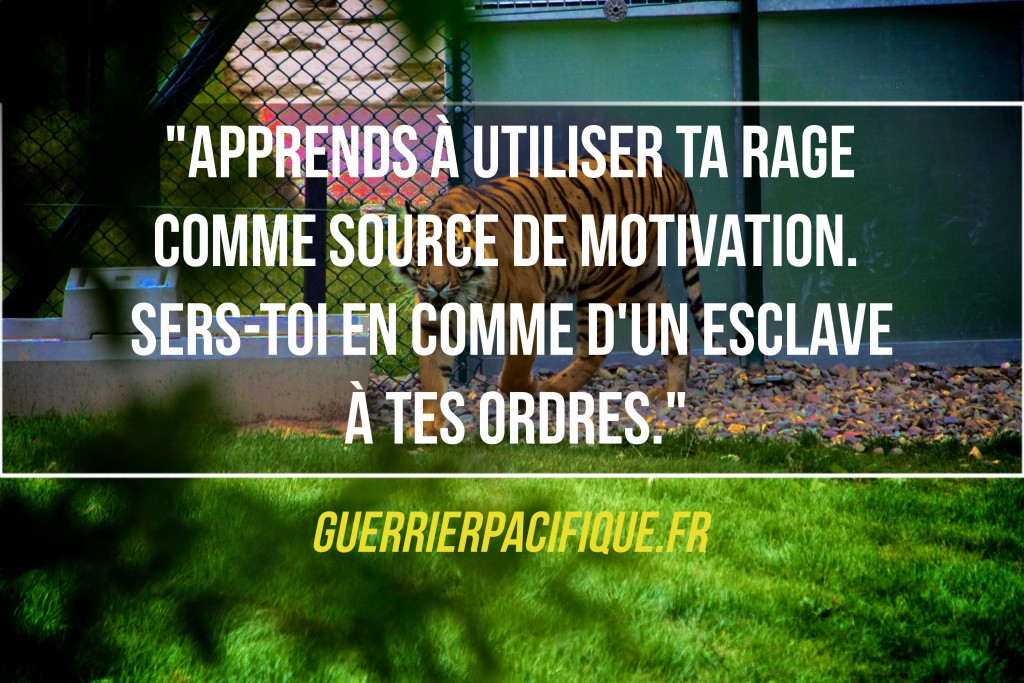 Utilise ta rage comme source de motivation