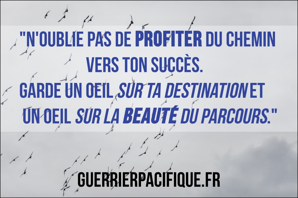 instagramquote78_guerrier_pacifique