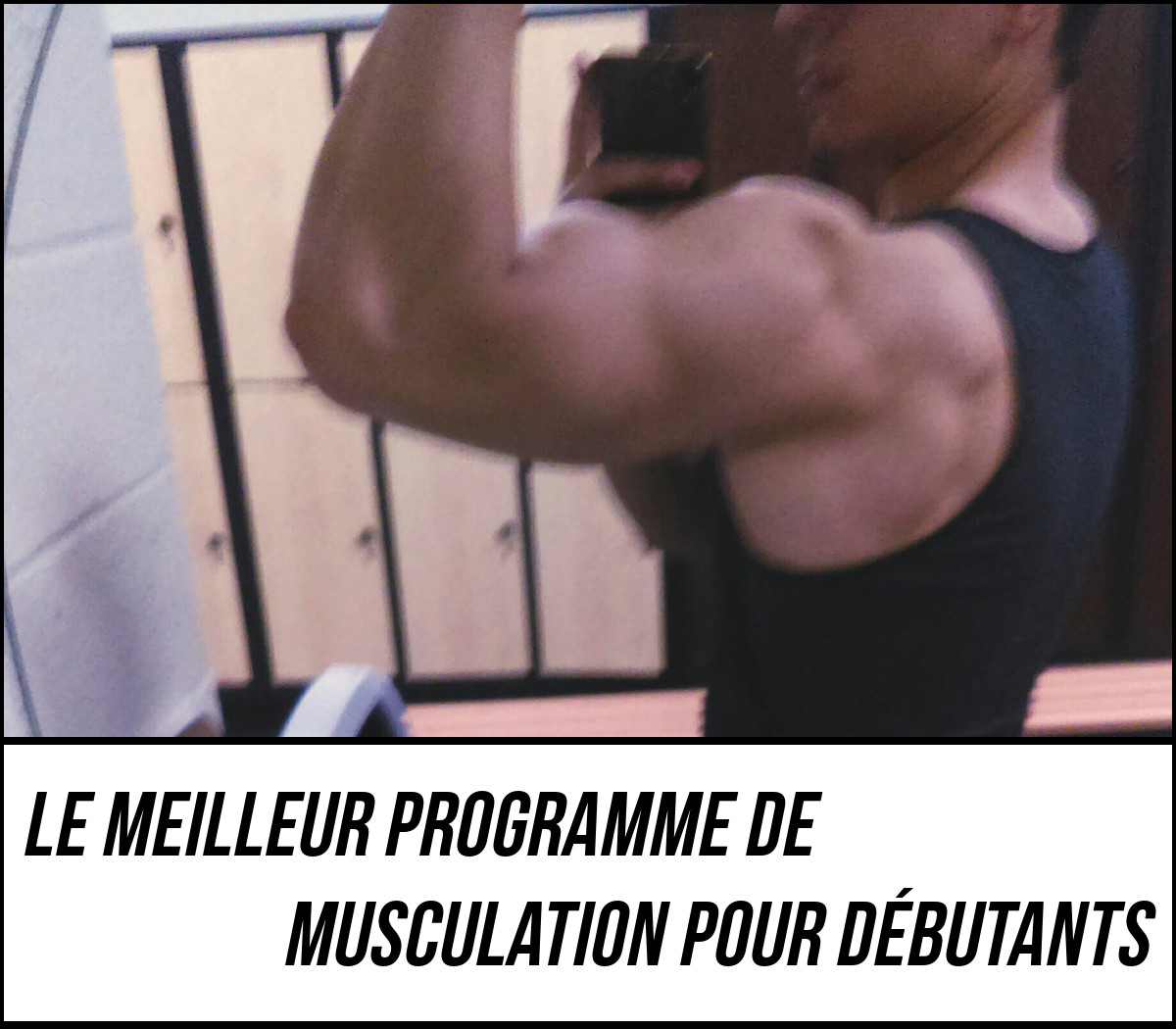 Programme musculation débutant