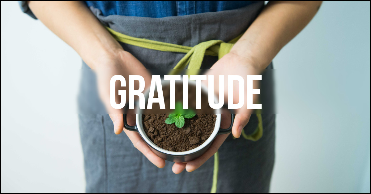 cultiver la gratitude